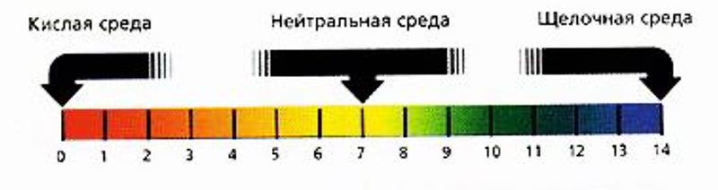 Простая шкала кислотности аквариумной воды