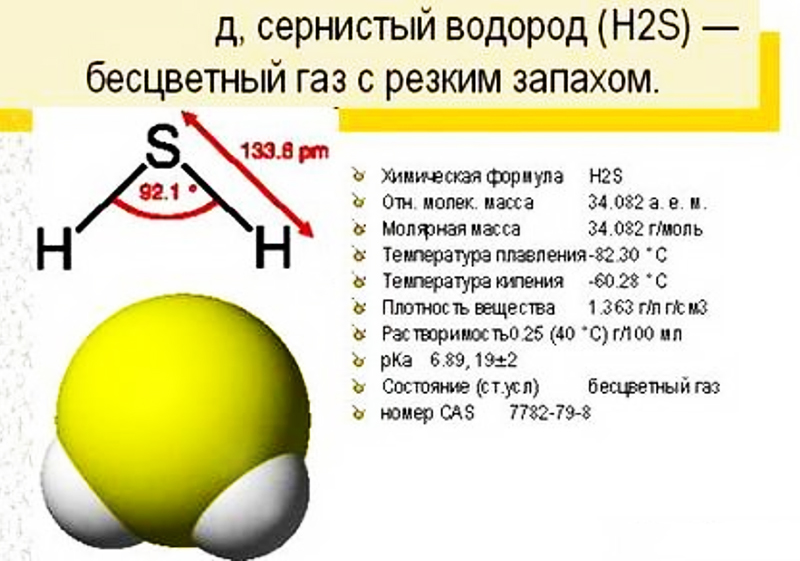 Образование сероводорода в домашнем аквариуме