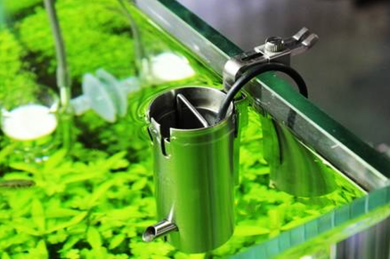 Устройство для сбора бактериальной пленки с поверхности воды в домашнем аквариуме