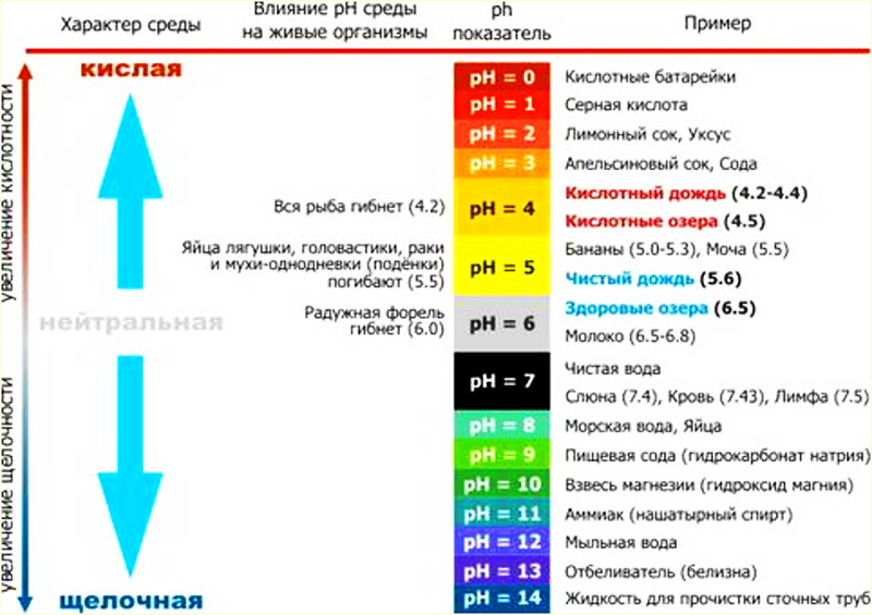 Влияние среды рН на живые организмы в аквариуме